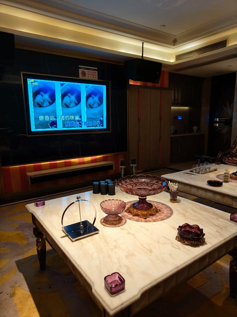 孝感商务ktv价格怎么算详解-应城市ktv预定